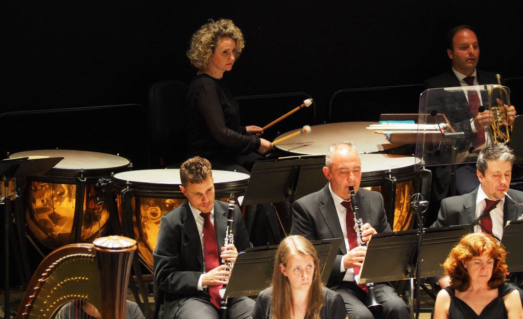 Ha nacido una orquesta (Martes 15 - Viernes 18)