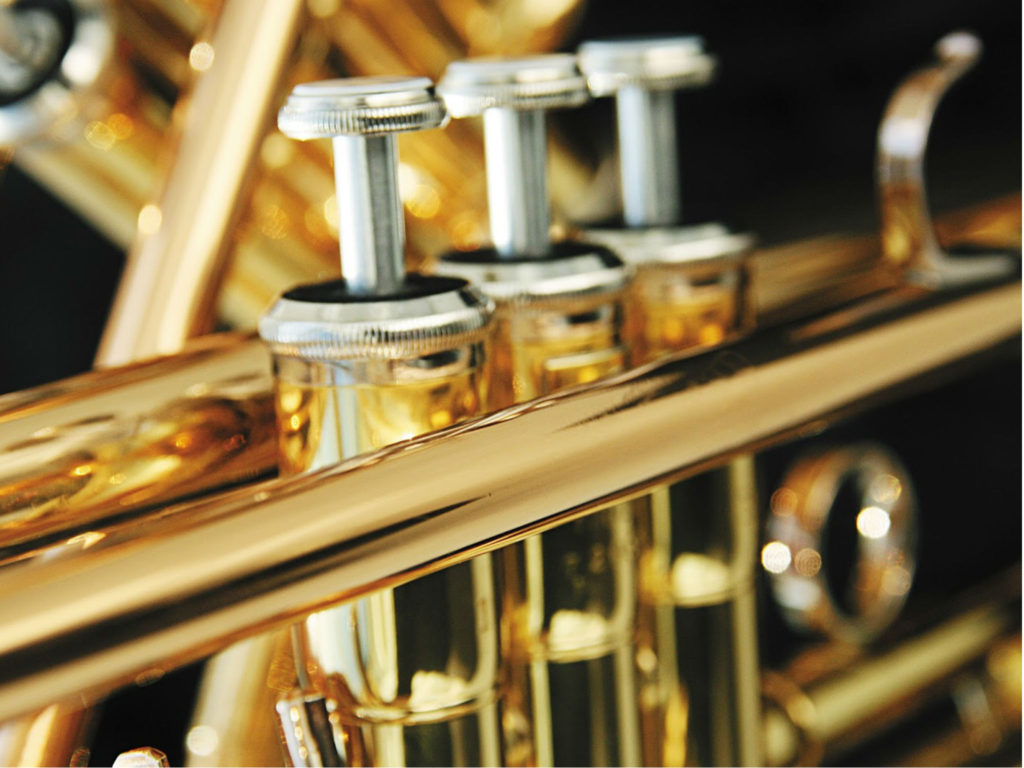 Concierto didáctico ¡¡¡Bras a ver tú!!!