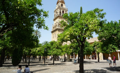 foto orquesta