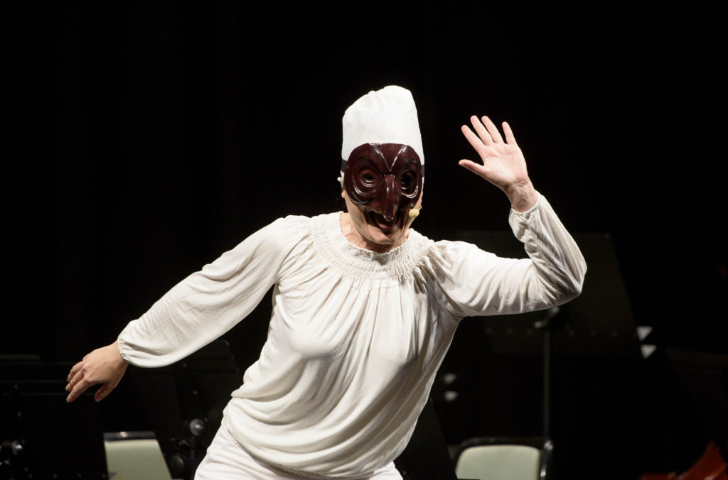 Las aventuras de mi amigo Pulcinella