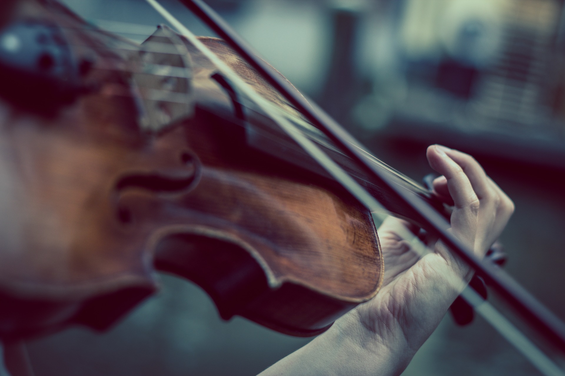 Abierto el plazo para las Pruebas de Promoción Interna de Ayuda de Solista de Violín II en la Orquesta de Córdoba