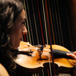 Violines primeros