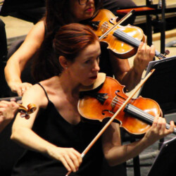 Violines segundos