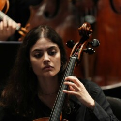 Violonchelo